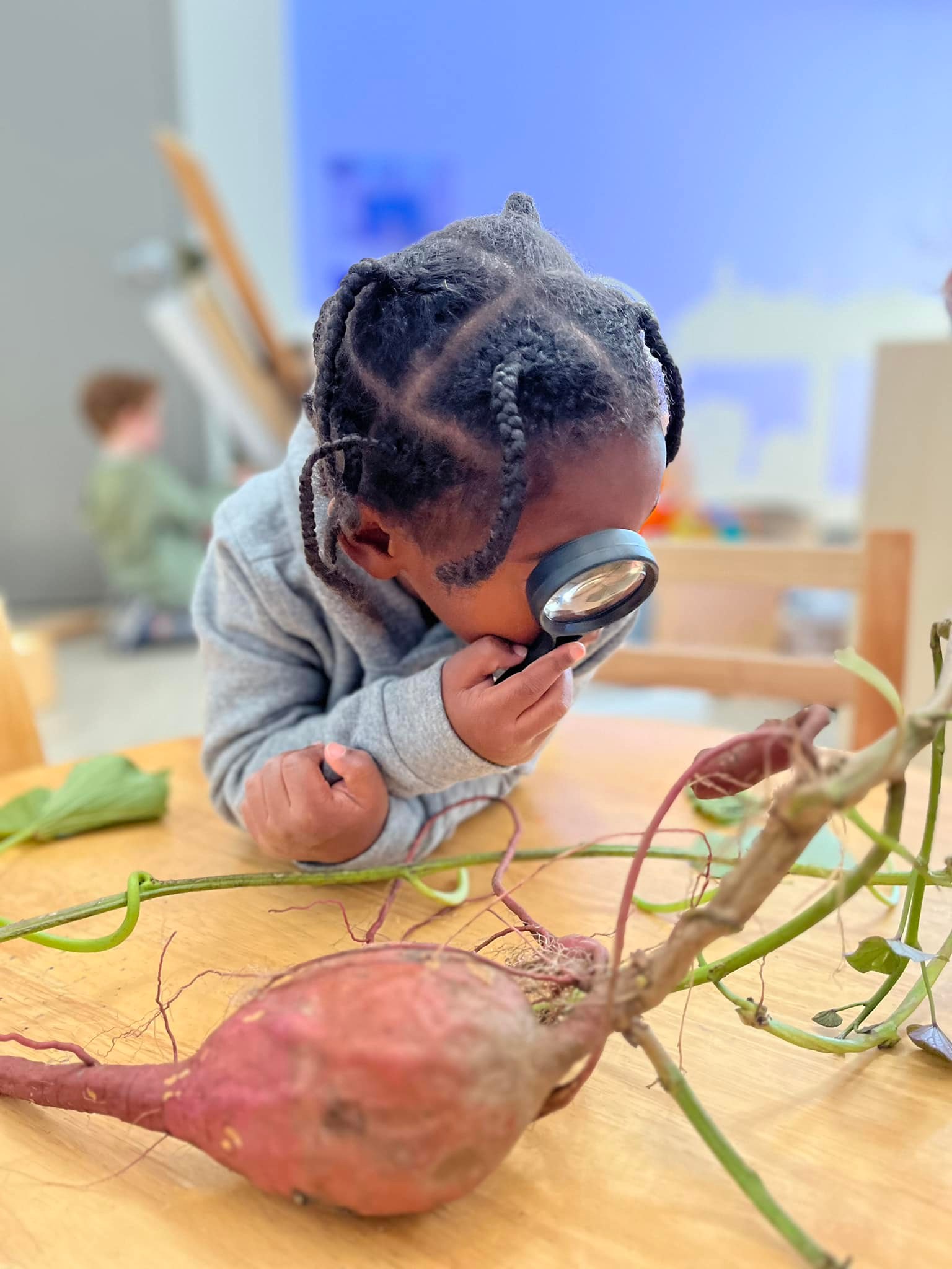 preschooler using magnifying glass to look at plant roots